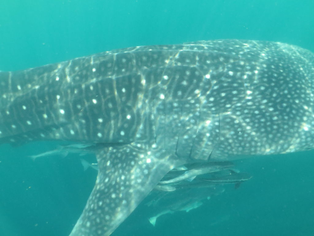 1098ed06-951b-4bee-a5b2-f2c9c36e12f8