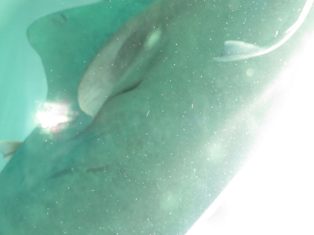 1098ed06-951b-4bee-a5b2-f2c9c36e12f8