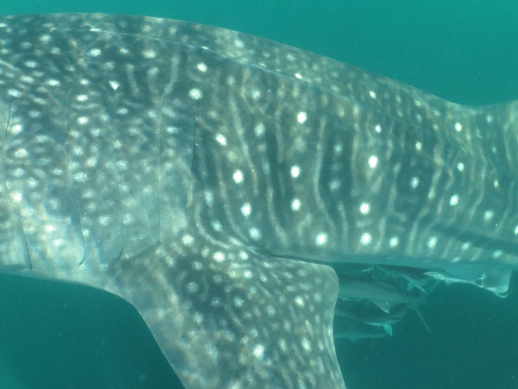 1098ed06-951b-4bee-a5b2-f2c9c36e12f8