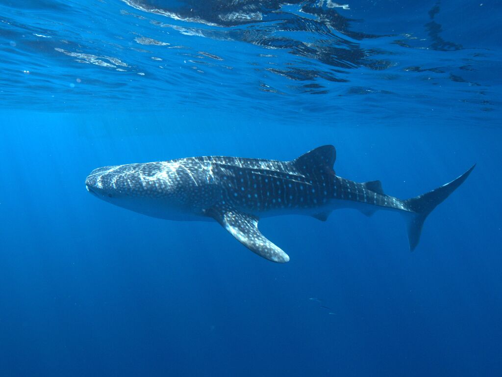 17f56244-42cb-4450-be7e-b427f4247676