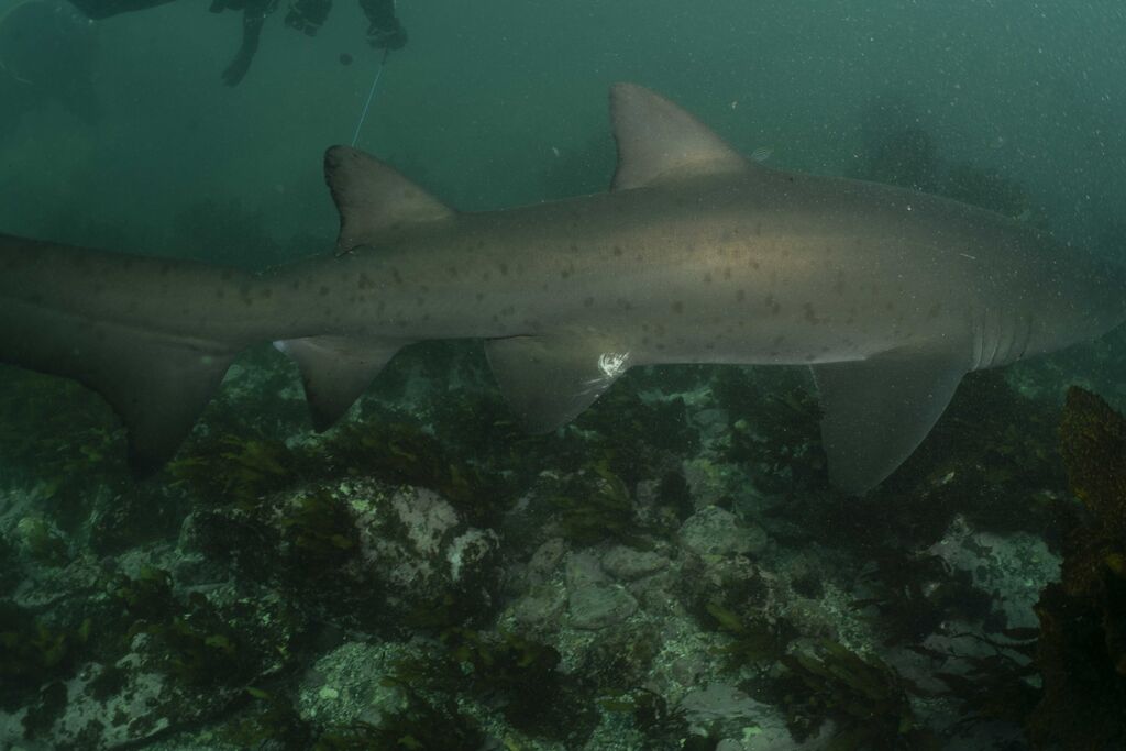 29149c54-b74d-4827-91e2-8a70d8e1d810