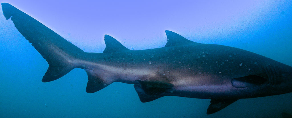 9b0c949d-49c2-4b95-93a6-8b999c7e4102