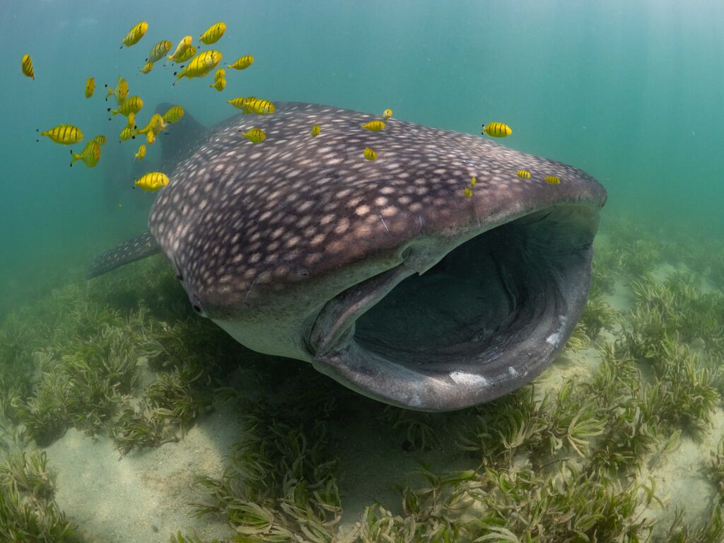 2cc968d7-3098-4a58-a012-f946423a5ee5