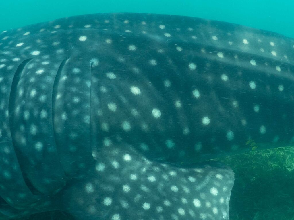 2cc968d7-3098-4a58-a012-f946423a5ee5