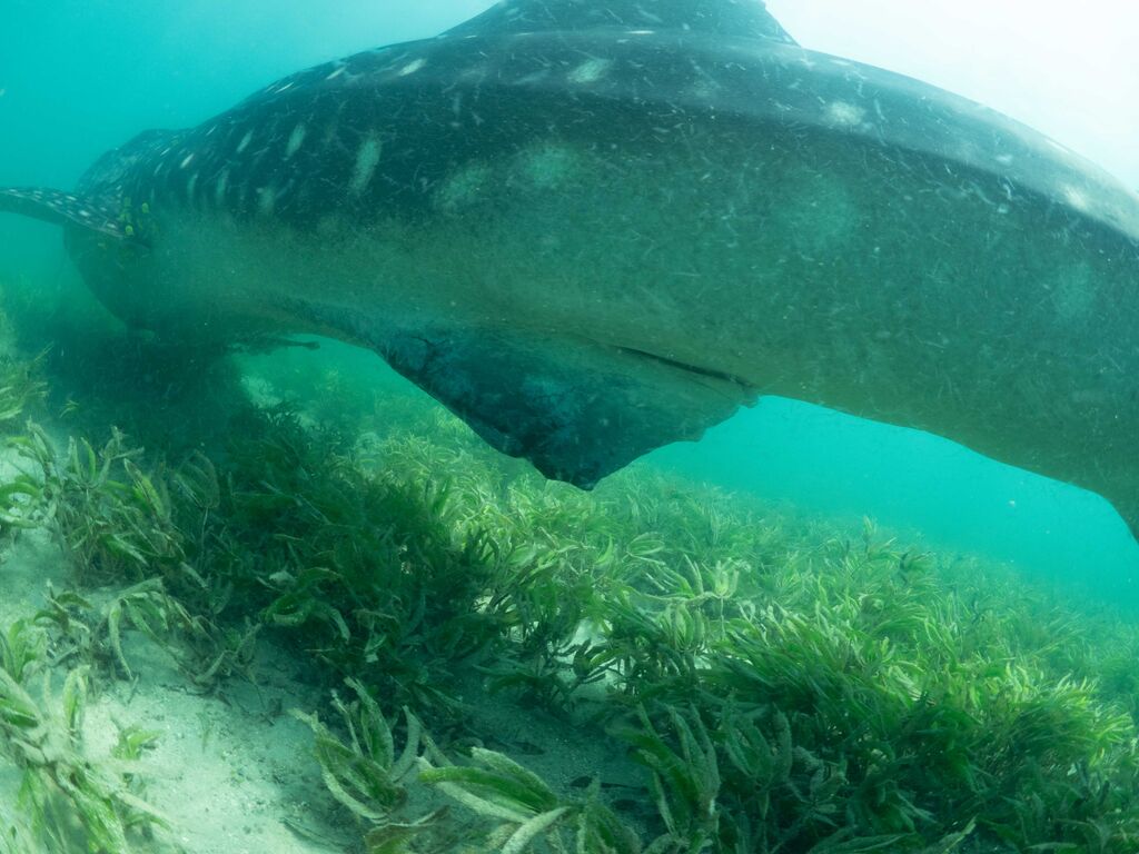 2cc968d7-3098-4a58-a012-f946423a5ee5