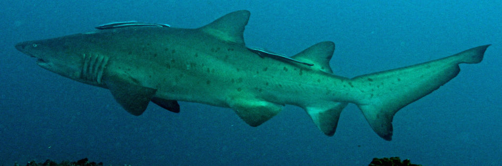 09eb9b7c-b074-462a-a517-b653b5293c8e