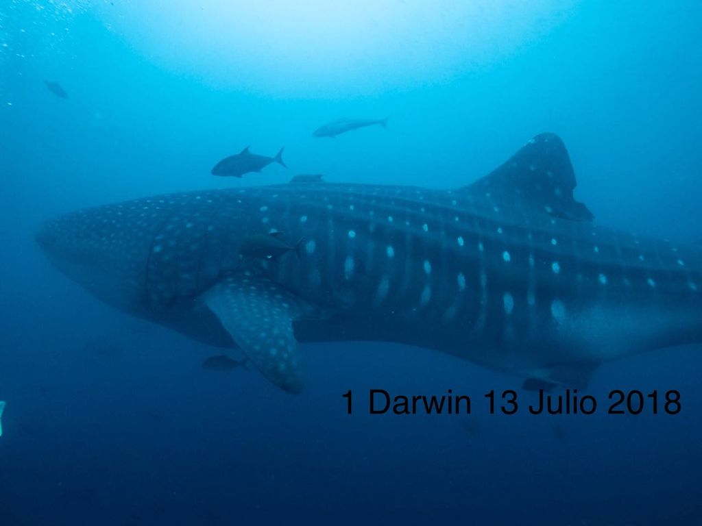 f62e9f9d-b638-41df-8260-09498e91cb3c