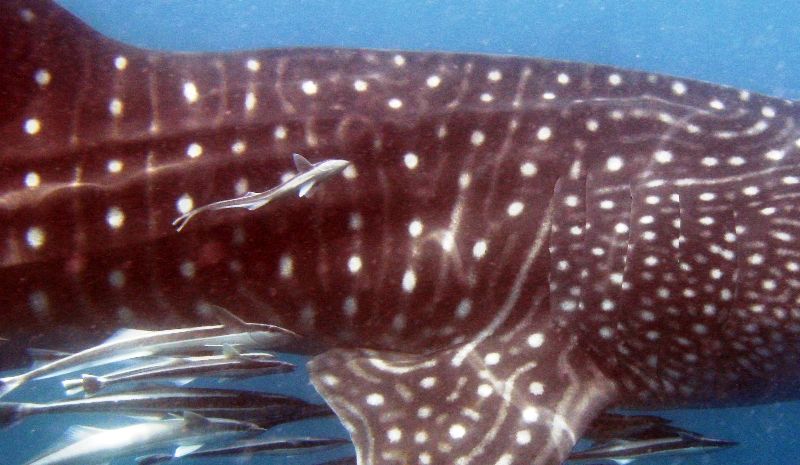 cabcb084-ef41-4223-9ada-64cbc901520a