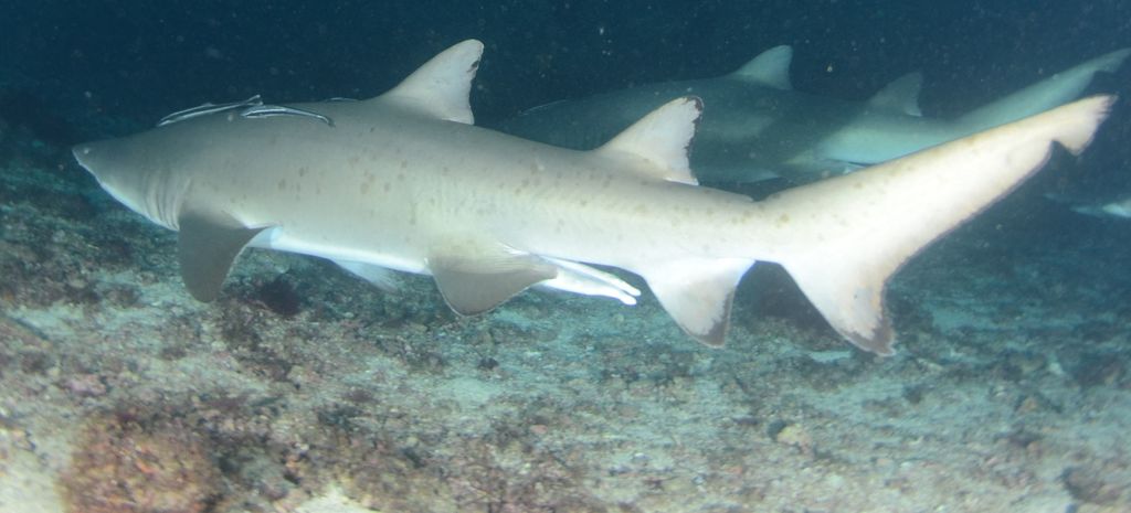 b2e73f33-0dd4-4ee8-a251-0b2034368410