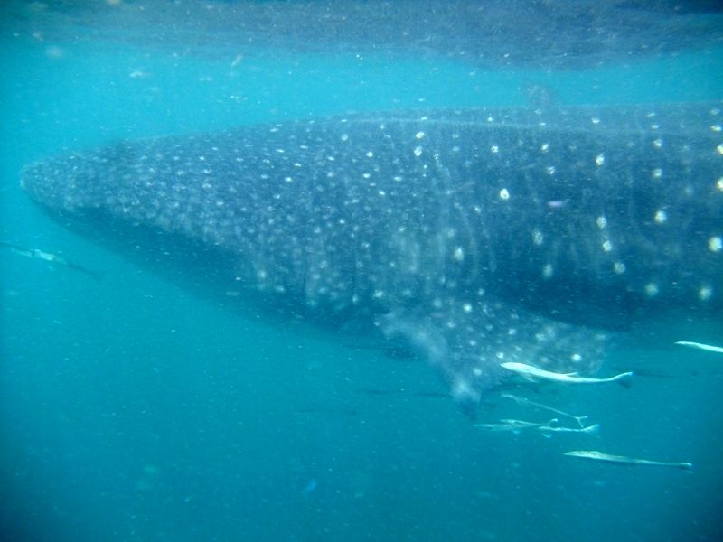 e2e3eb33-afc3-4037-ba4b-f8d2569d5298