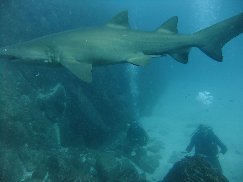 d370a20a-bd0c-4174-bb10-a975ef52bb69