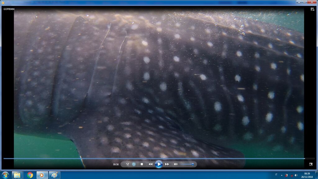 501a66de-03e2-410f-9da4-87c7fc814ab5