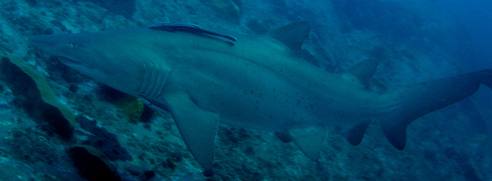 55b4ba1f-76a2-40dc-94af-11380095489d