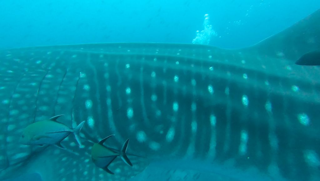 7720ca02-f5ea-42f7-9ab0-b4b9c13f4916