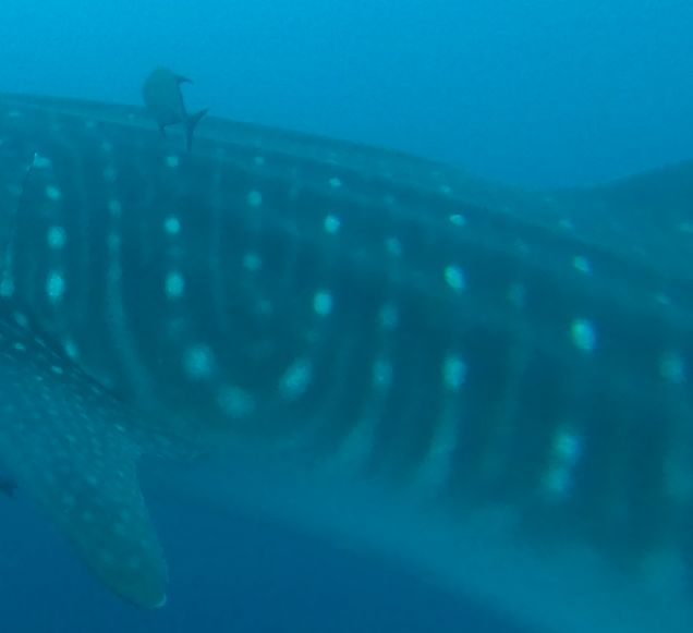 7720ca02-f5ea-42f7-9ab0-b4b9c13f4916