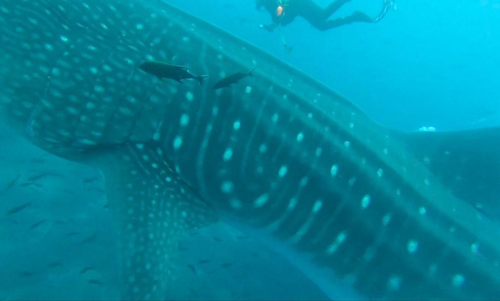 7720ca02-f5ea-42f7-9ab0-b4b9c13f4916