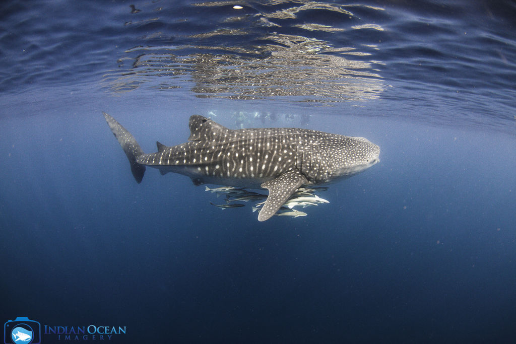 857cbe67-9405-414a-97c9-3a1d5971a3a1