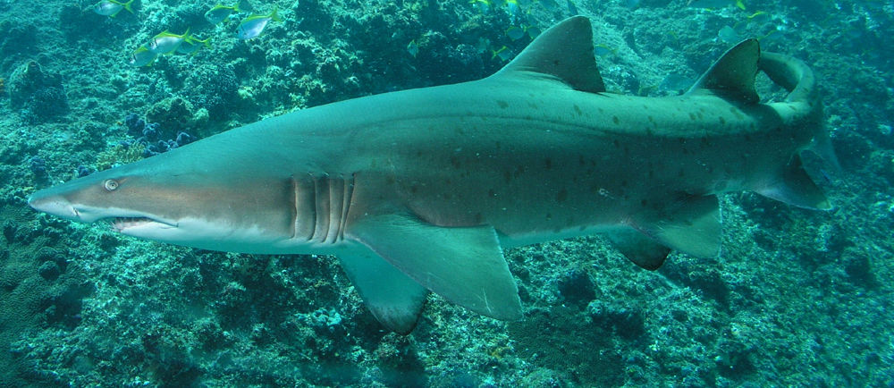 ab7b1a84-eb0d-4309-ae61-e492816235b2