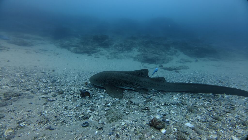 459c9ed8-e2dd-457e-ba8c-2ad09f48ad1d