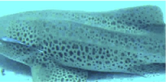 44a2f186-e822-41a3-9c8a-9b6dd4830161