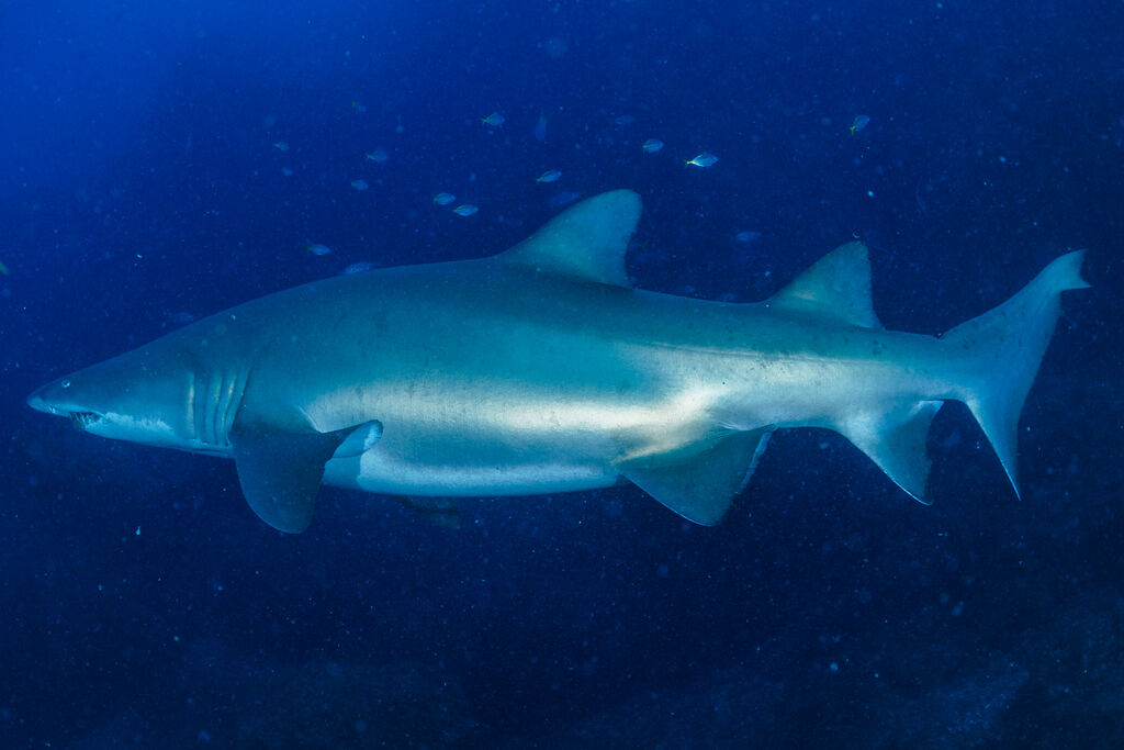 ae790ec9-51d8-4887-9cdb-b15e82bea0c4