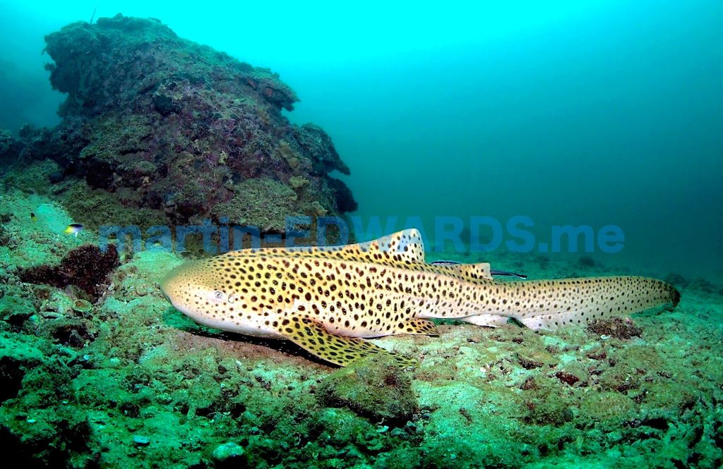 e657d865-1e0e-45d8-a146-8f20b54b7d5b