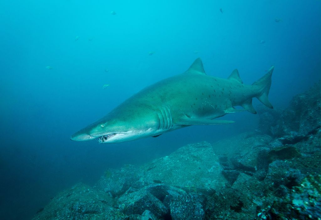 f7673817-7abc-4d58-9bc8-94002ba4260c