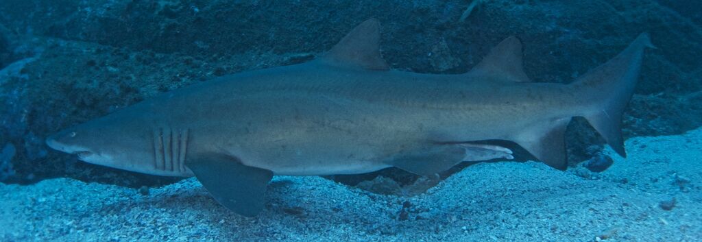 41e41af3-965e-42e7-a066-8aac04413561