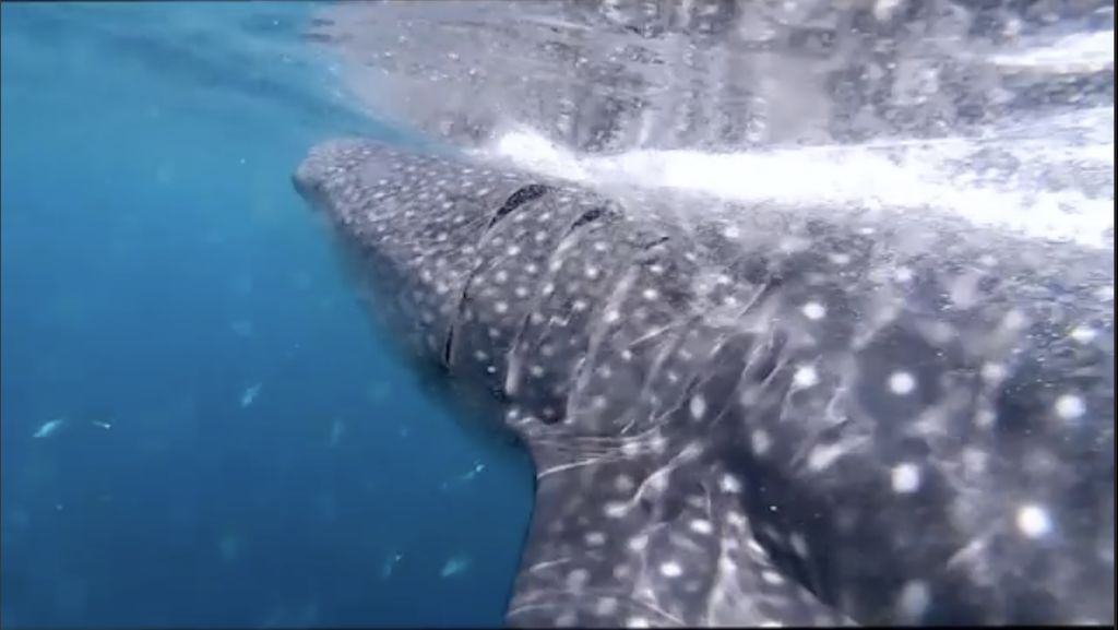 531029fb-7bc9-45e6-8d77-0abfda58eb8e