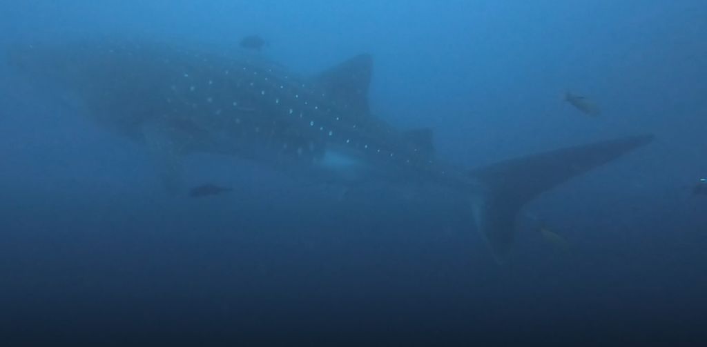 38d9f624-a920-400c-b73c-0126e63399c9