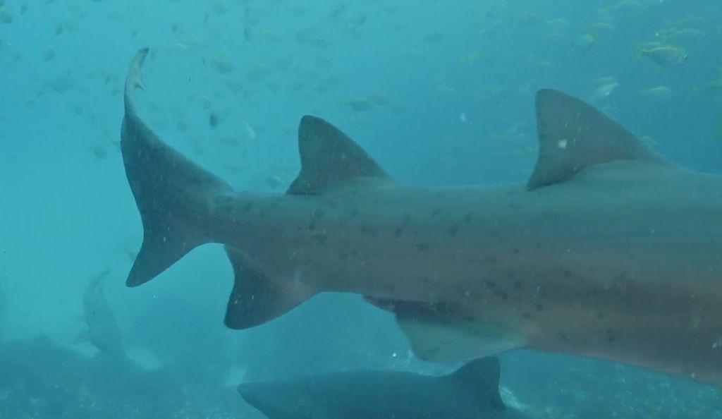 9095aa25-bf24-46d5-8c1a-cd38b8cd1e57