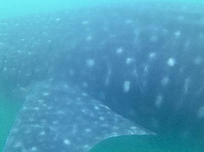 13fa1165-14e9-49b3-8a97-56ff13571ddb