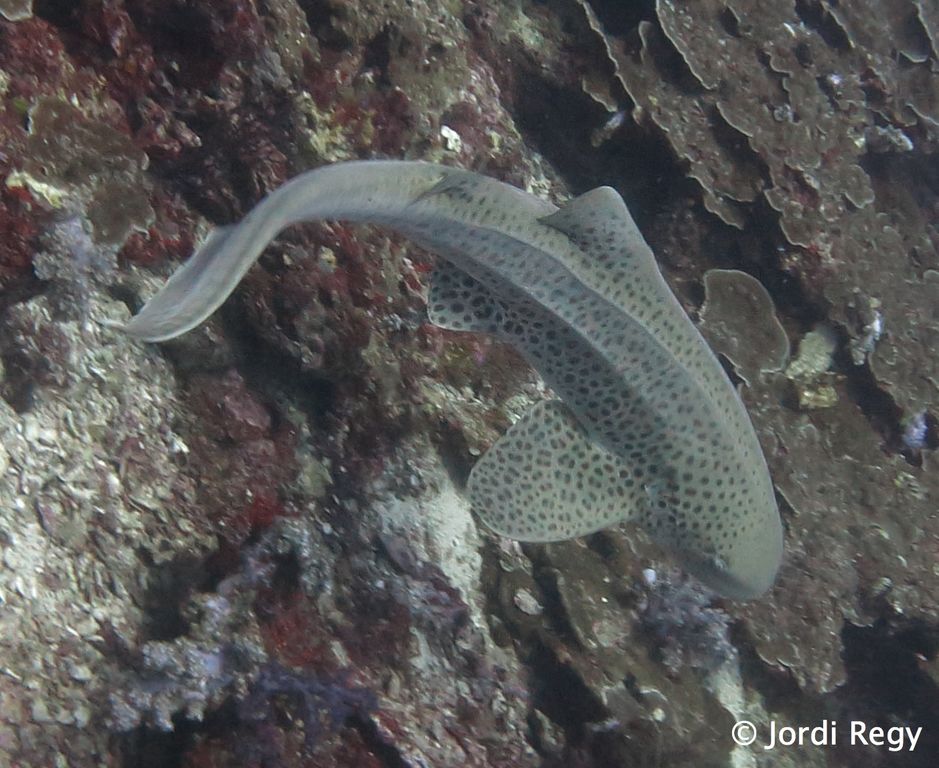 64192634-0d4f-4c8f-bd82-72d23e55dbfc