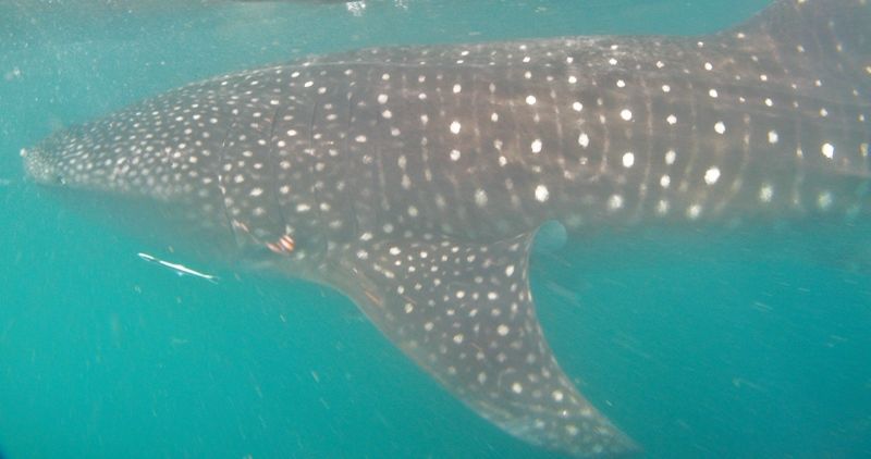 b603a640-2ed5-40e1-a90e-682379ea24a9