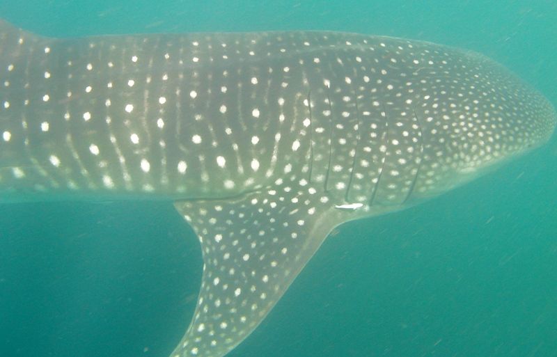 b603a640-2ed5-40e1-a90e-682379ea24a9