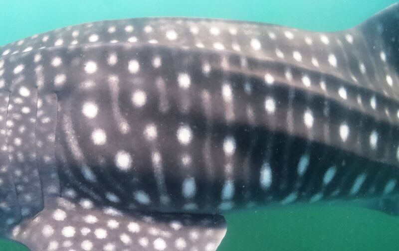 9b044b80-61c9-435f-a8a5-26ee35ef5665