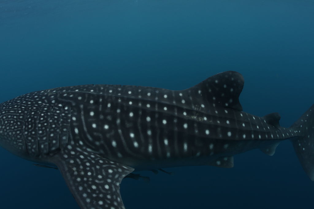 c6e85104-6d8f-4ce3-af4c-fbeeebe14664