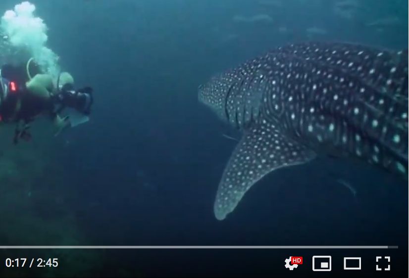 72cea92d-41fa-4e68-a159-8b98e1cf6caf