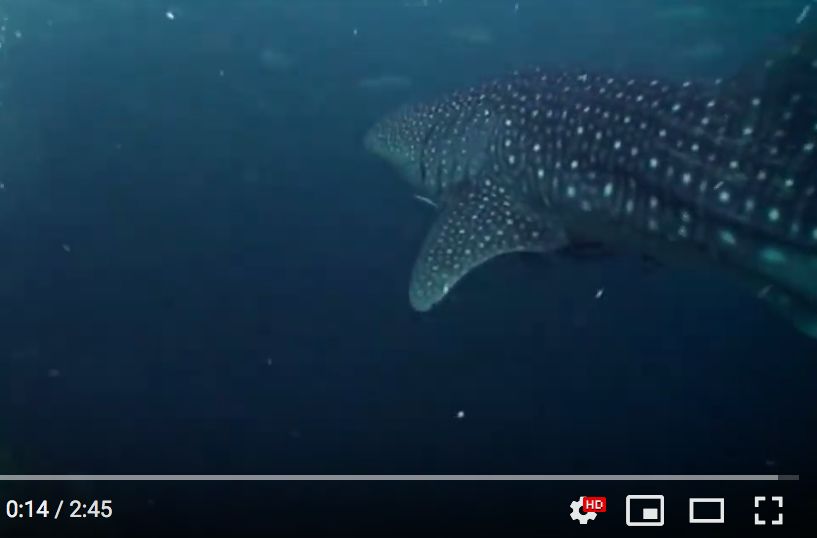 72cea92d-41fa-4e68-a159-8b98e1cf6caf