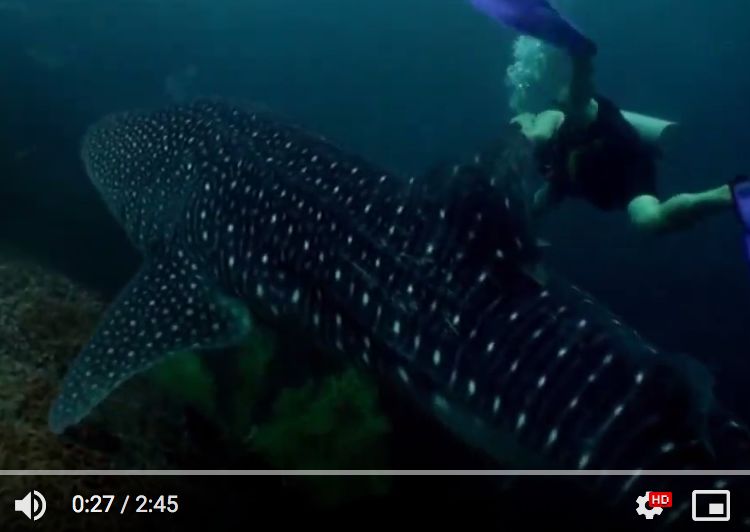 72cea92d-41fa-4e68-a159-8b98e1cf6caf