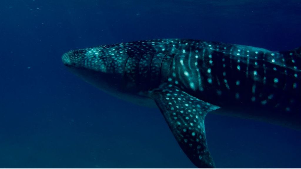 bdef321d-3689-4933-acfb-ba6364f851b2