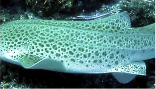 c32c8cdd-a6c7-4d3e-a9ab-0817a4fa2093