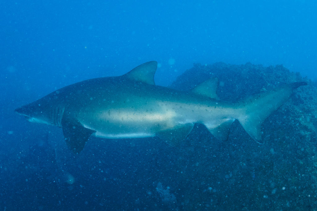 8907a3ba-3b2f-4a05-aabe-733432780c2f