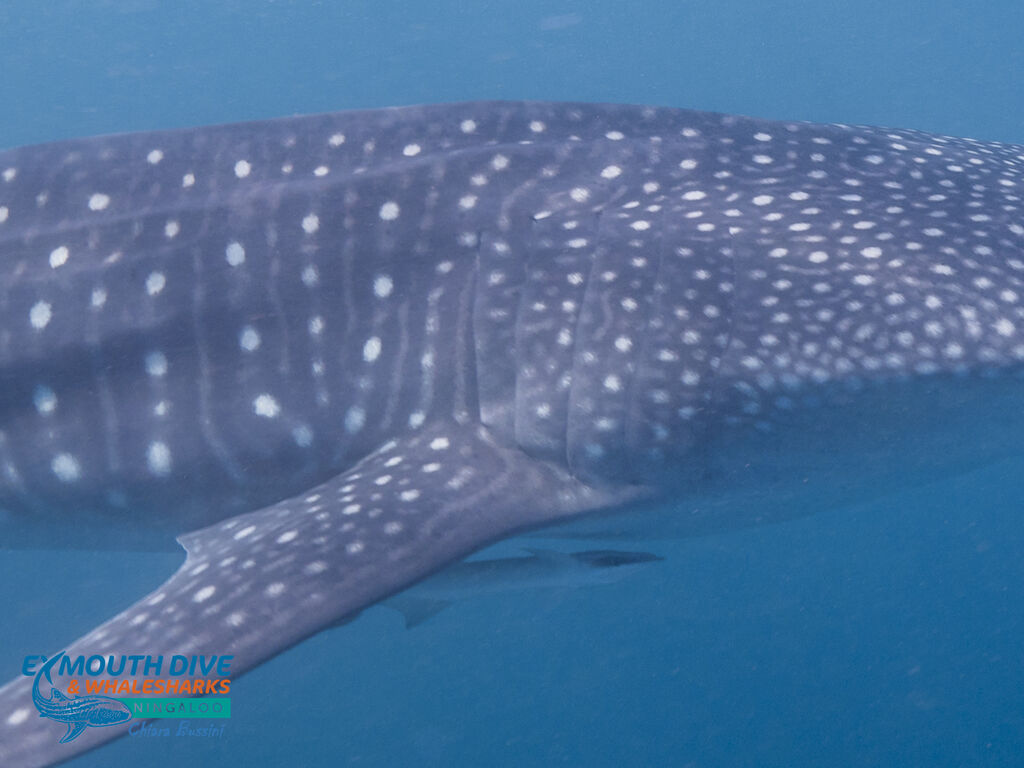 f2873b48-4c38-4ef2-99ca-be4b8ec3e464