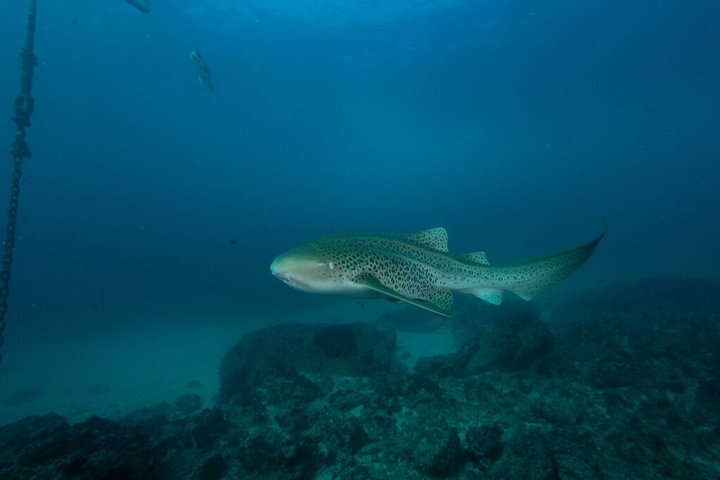 6f30a021-26b6-4dd3-b1a0-a2182fde6726