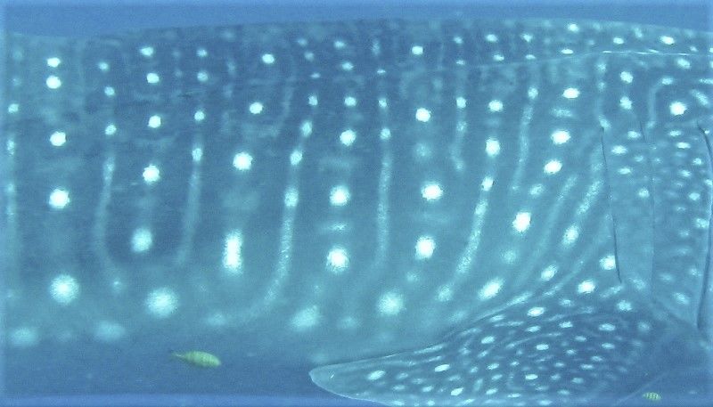 1a73bfe6-4b8c-44a4-a0c1-77f234b1596b