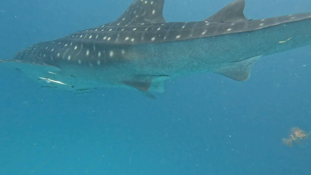 2b118670-05b2-41f2-9e5a-b09f3508ce72