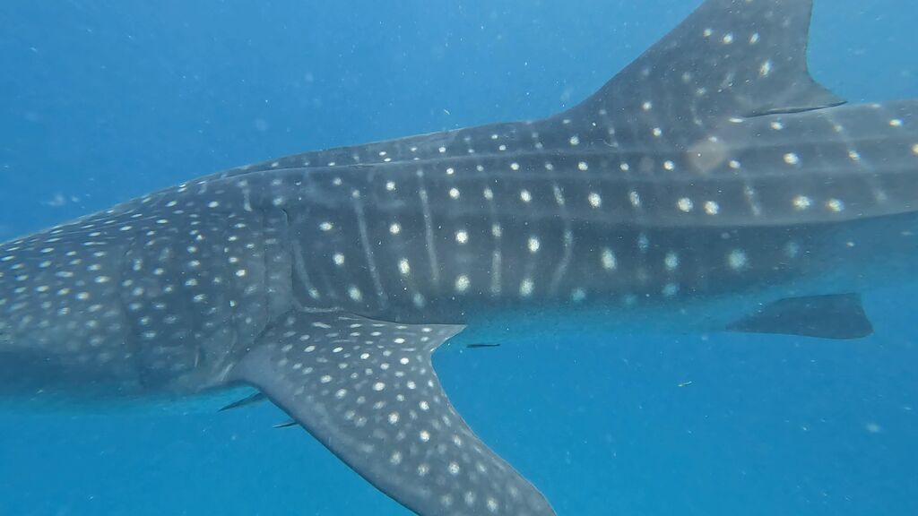 2b118670-05b2-41f2-9e5a-b09f3508ce72