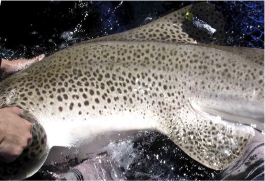 7aa4eaec-5194-452c-85c7-54fc037bbb49