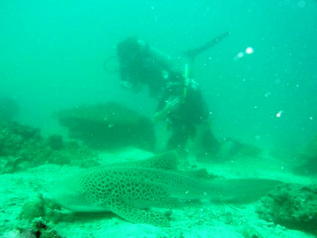 14e54f5d-d8b9-4628-a4f3-fdb2393ba762